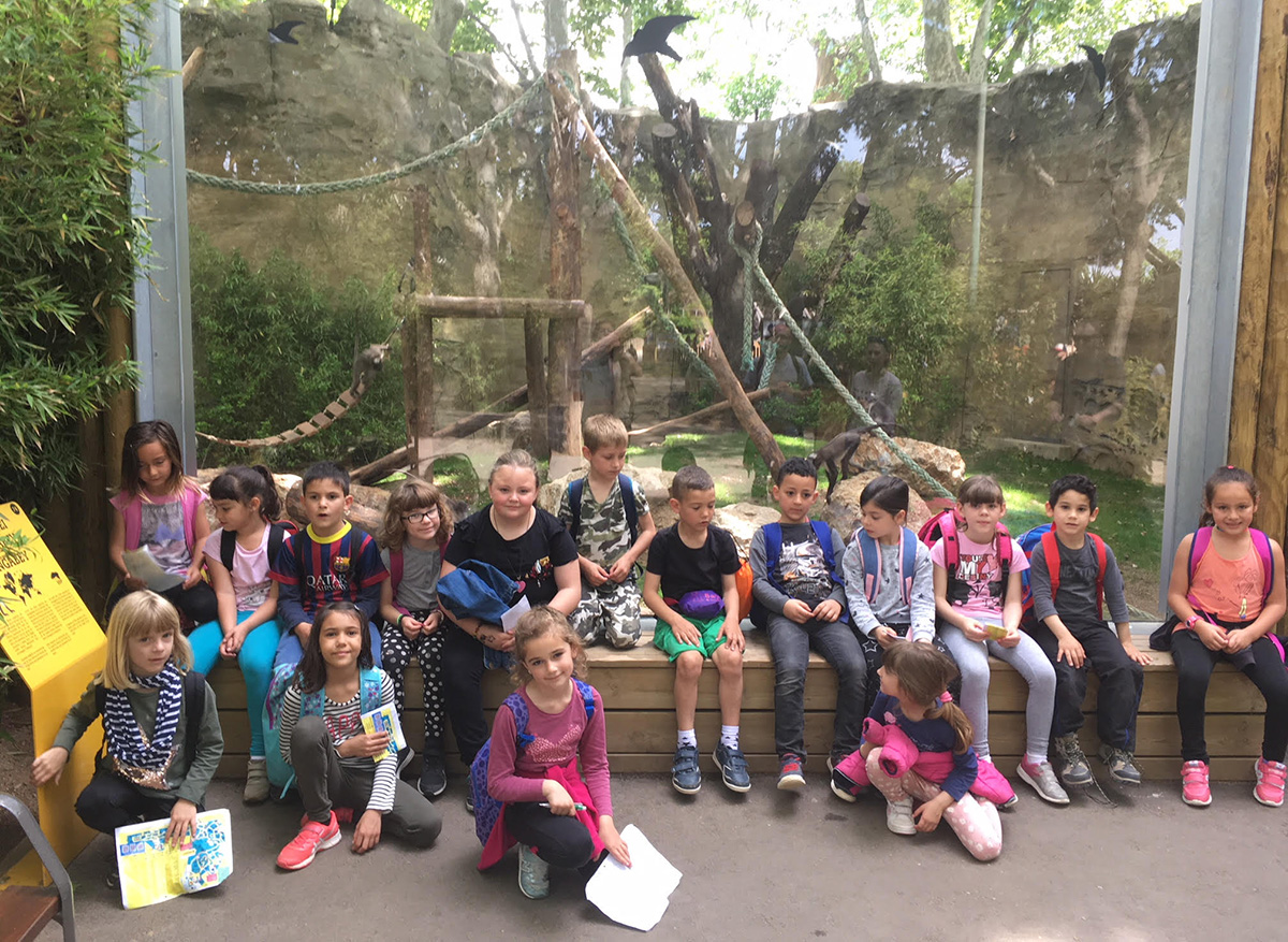 Alumnes de 1r al Zoo de Barcelona