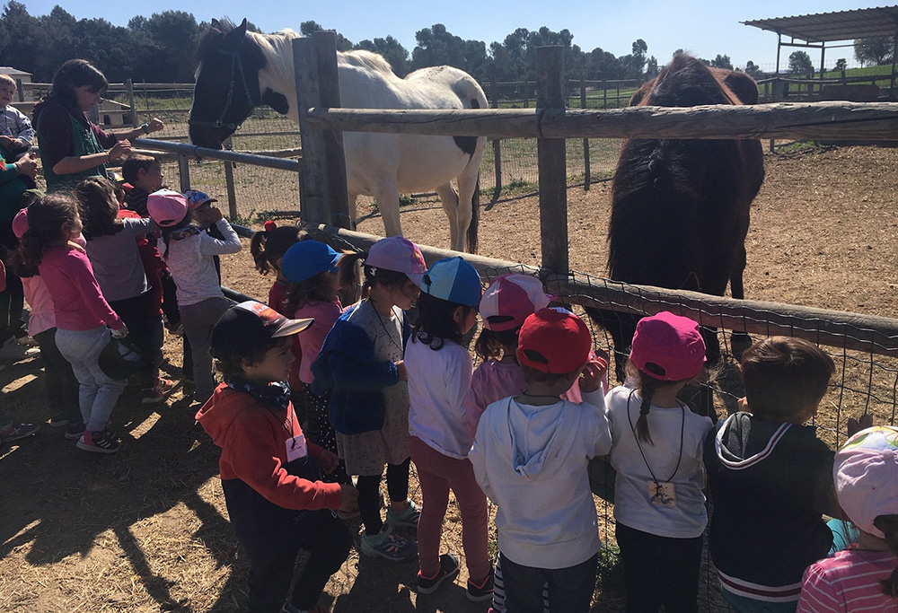 Nens de P3 observant cavalls a la granja Canadell de Calders
